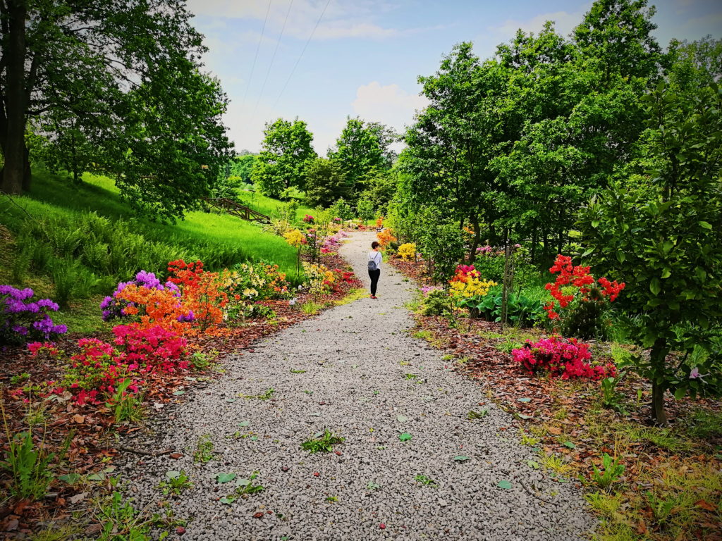 Śląski Ogród Botaniczny zwiedzanie