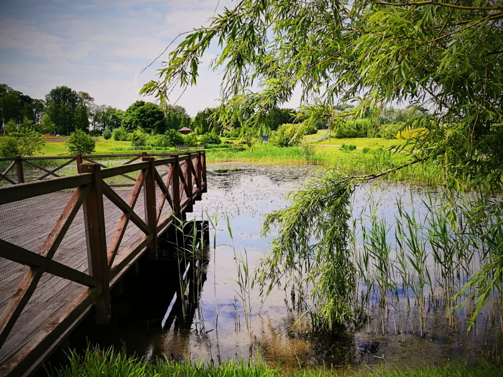 Jak dojechać do Śląskiego Ogrodu Botanicznego