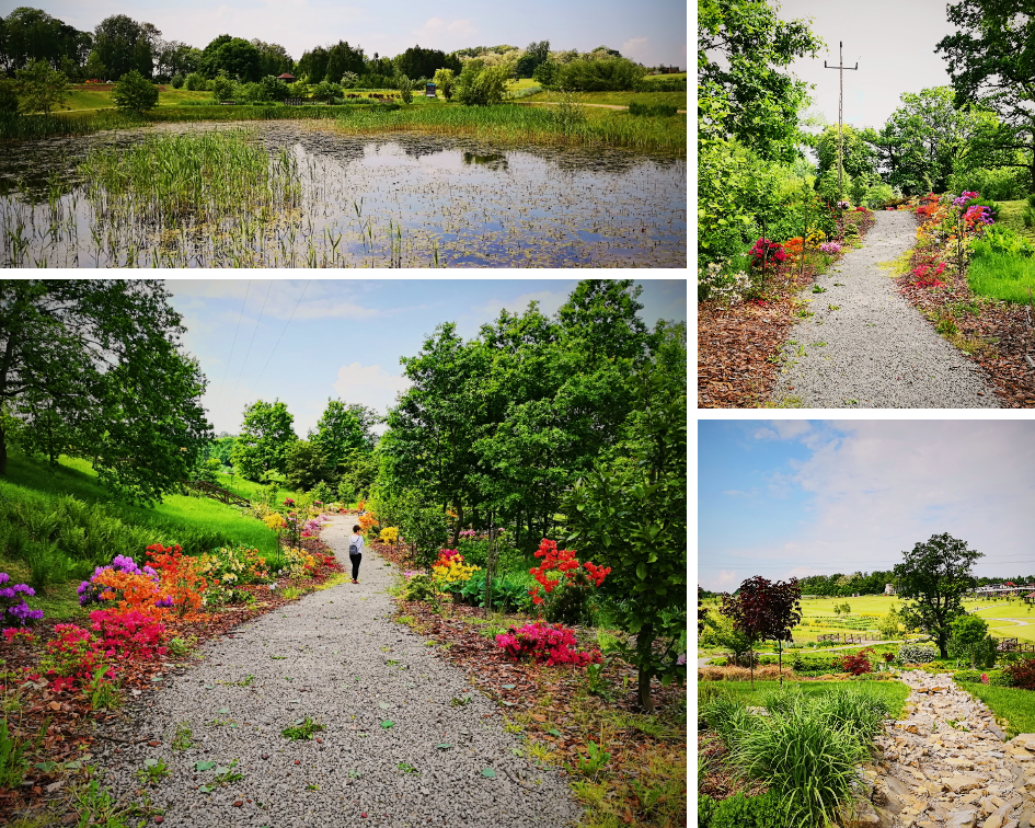 Śląski Ogród Botaniczny zwiedzanie