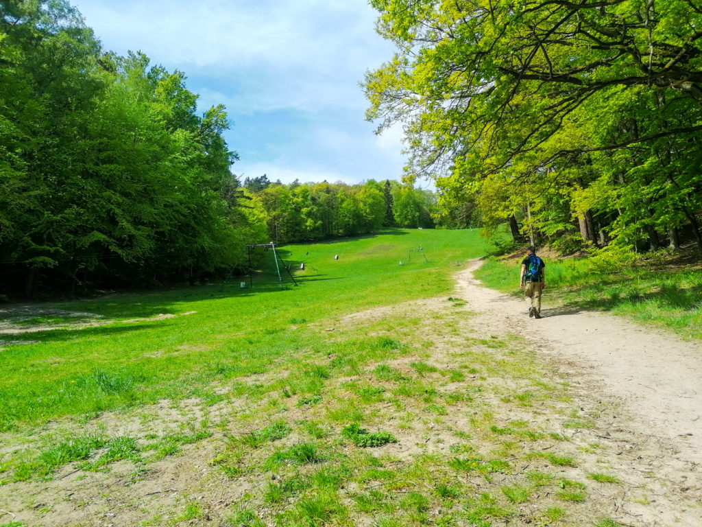 Sopockie Szlaki Spacerowe