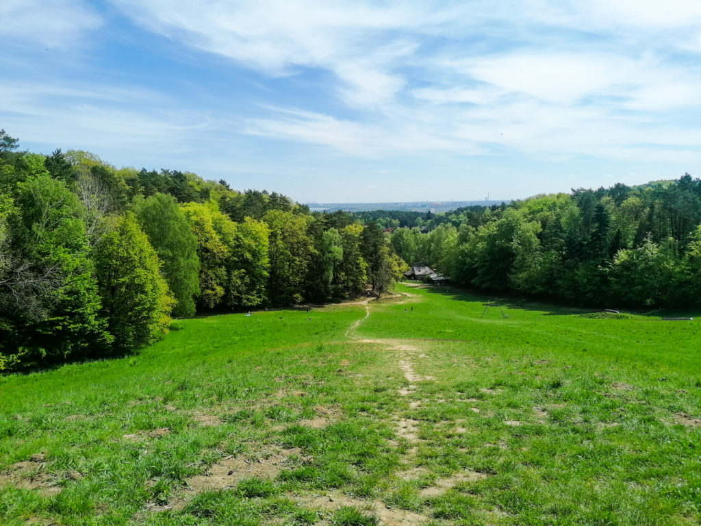 Sopockie Szlaki Spacerowe