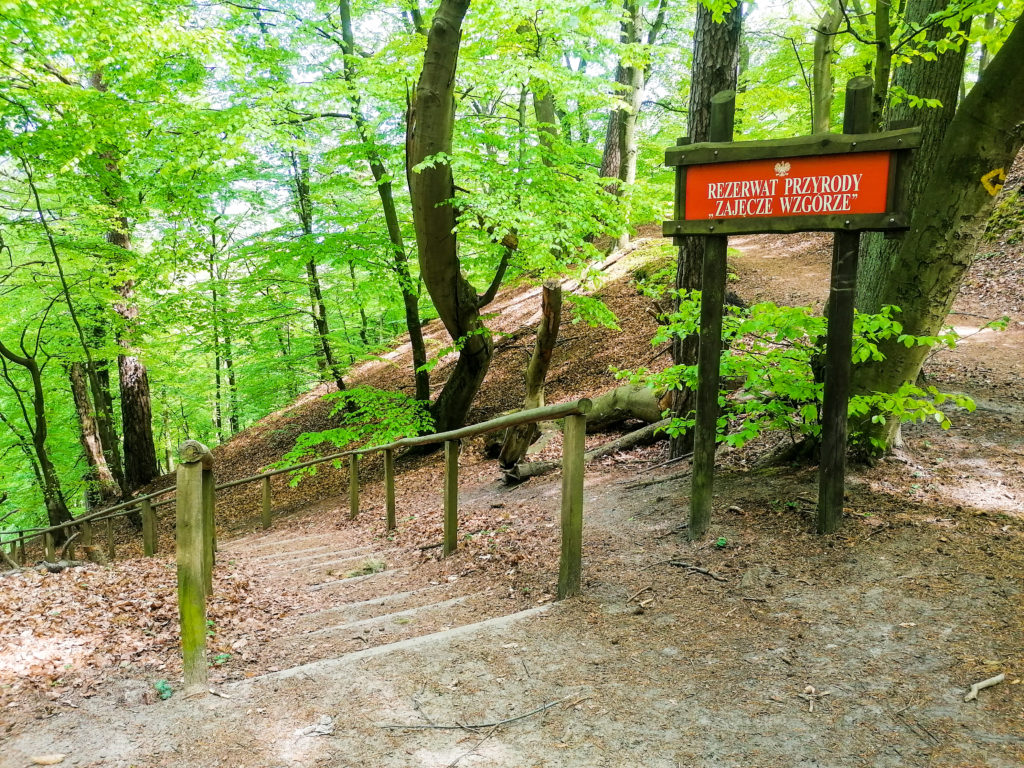 Sopockie Szlaki Spacerowe