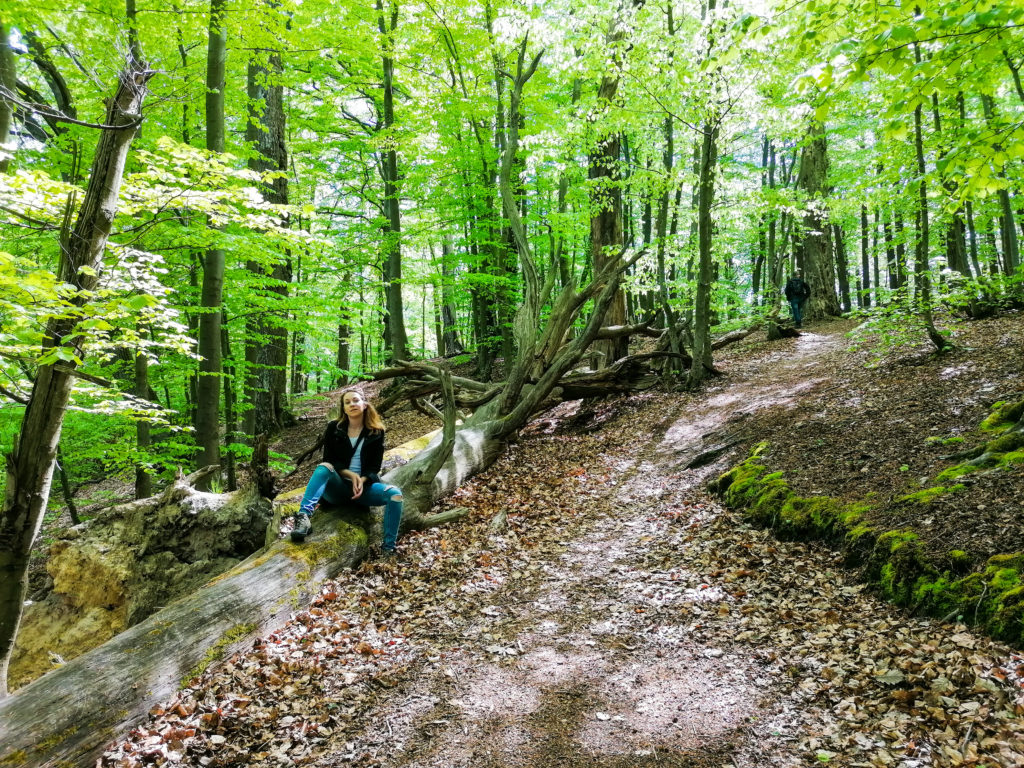 Sopockie Szlaki Spacerowe