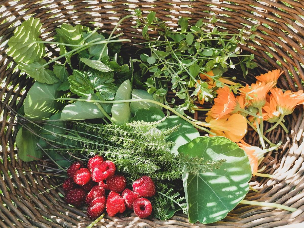 Miejskie ogrodnictwo