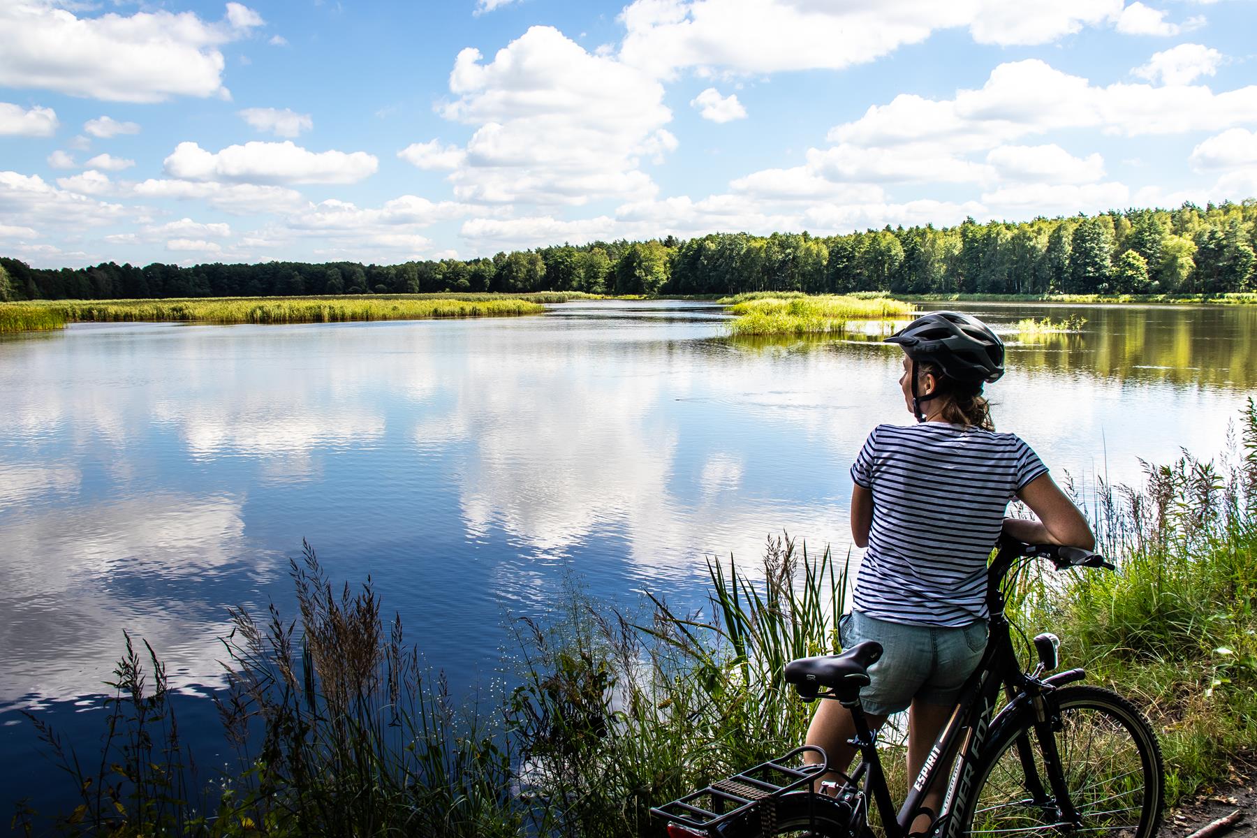 Pojezierze Palowickie