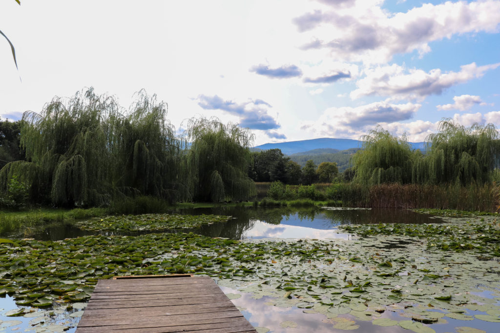Stawy Podgórzyńskie Aquakultura