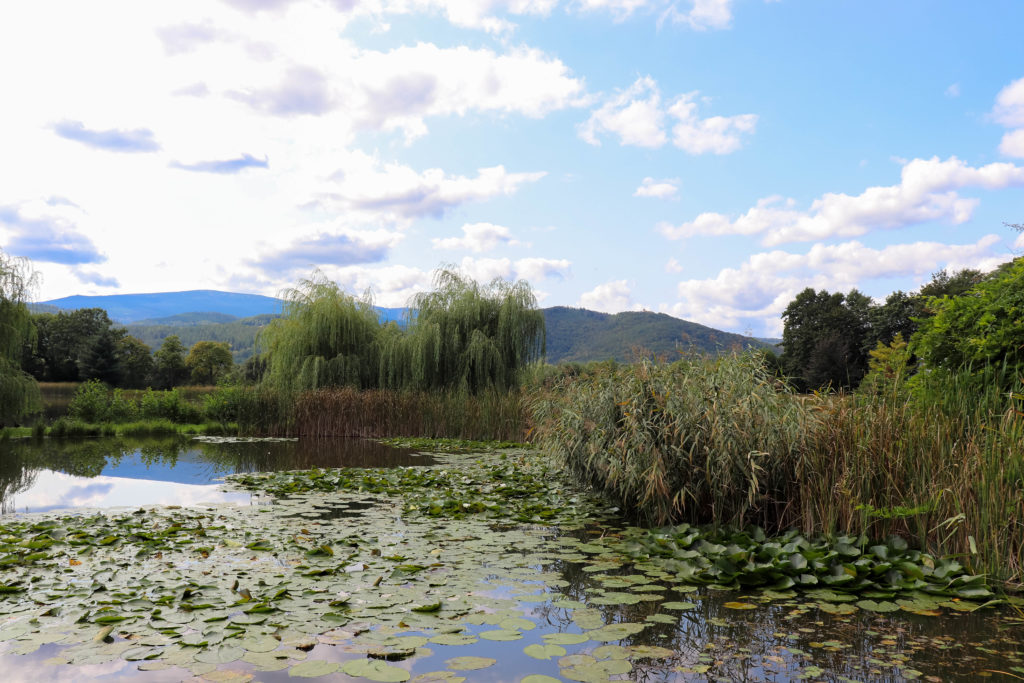 Stawy Podgórzyńskie Aquakultura