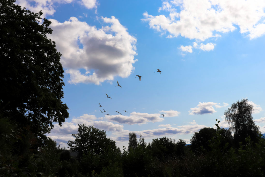 Stawy Podgórzyńskie