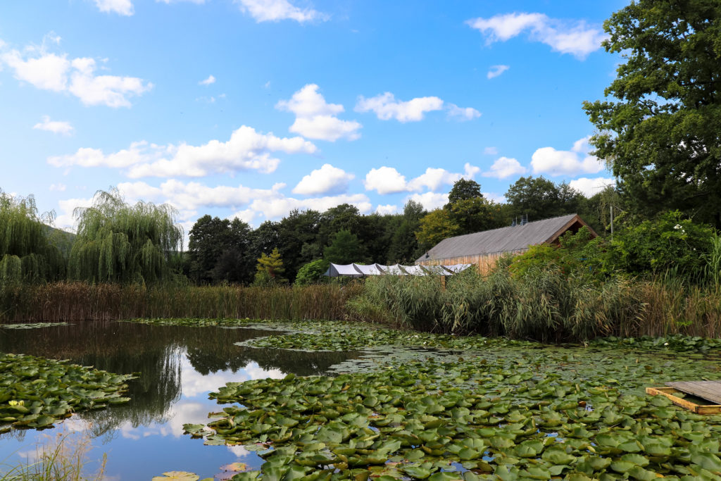 Stawy Podgórzyńskie Aquakultura
