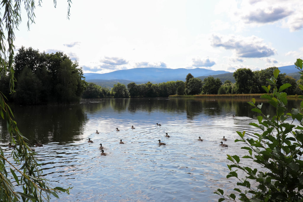 Stawy Podgórzyńskie