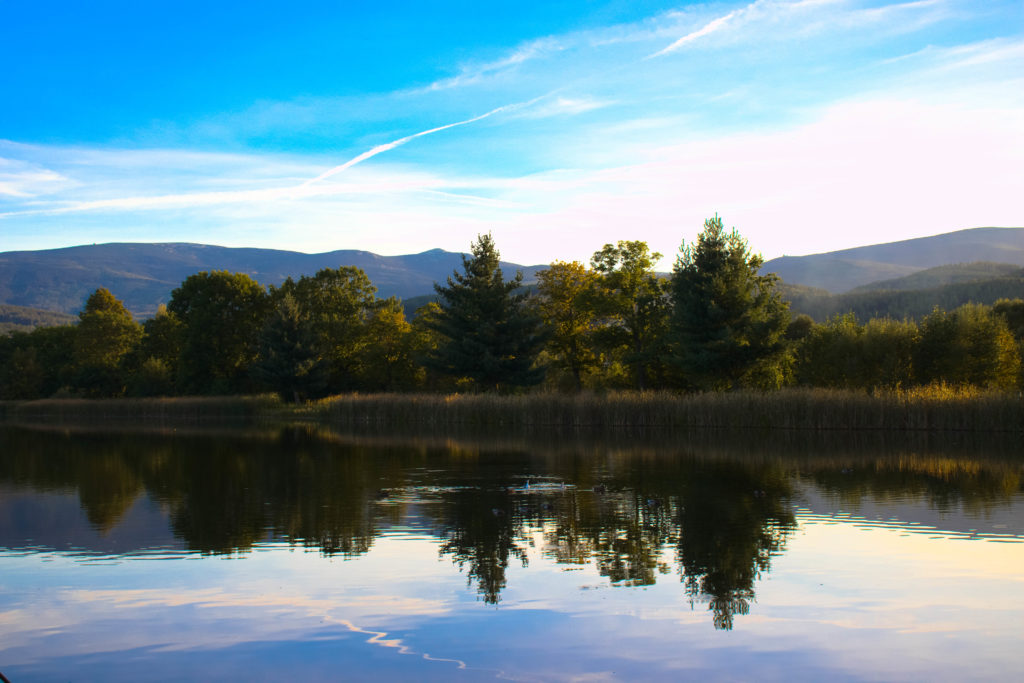 Stawy Podgórzyńskie