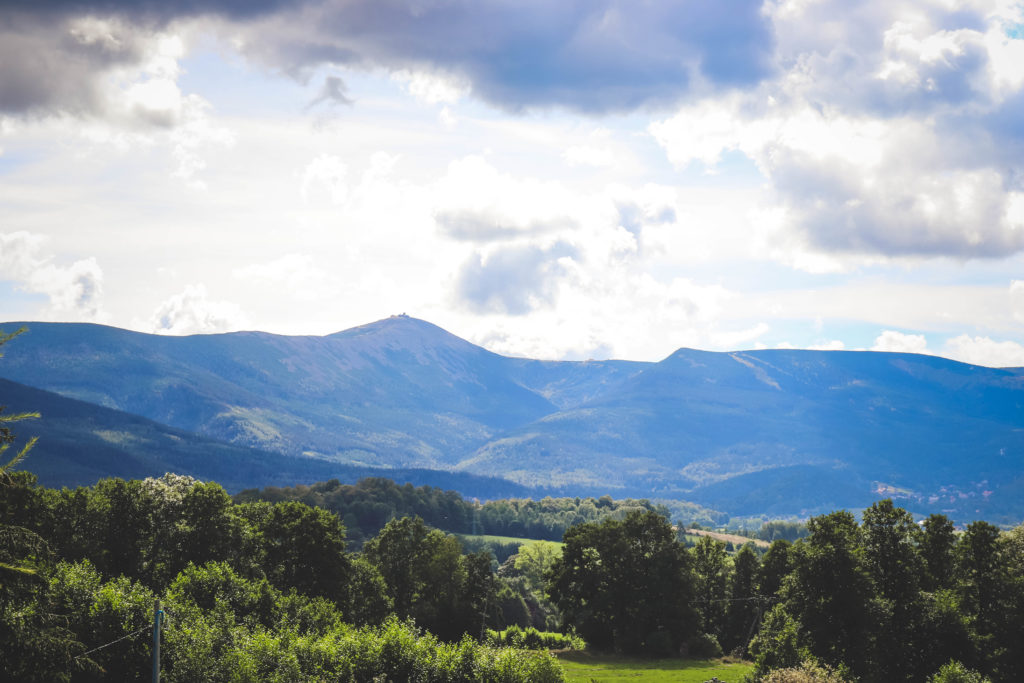 Zwiedzanie Pałacu w Bukowcu