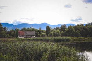Park krajobrazowy Pałac w Bukowcu