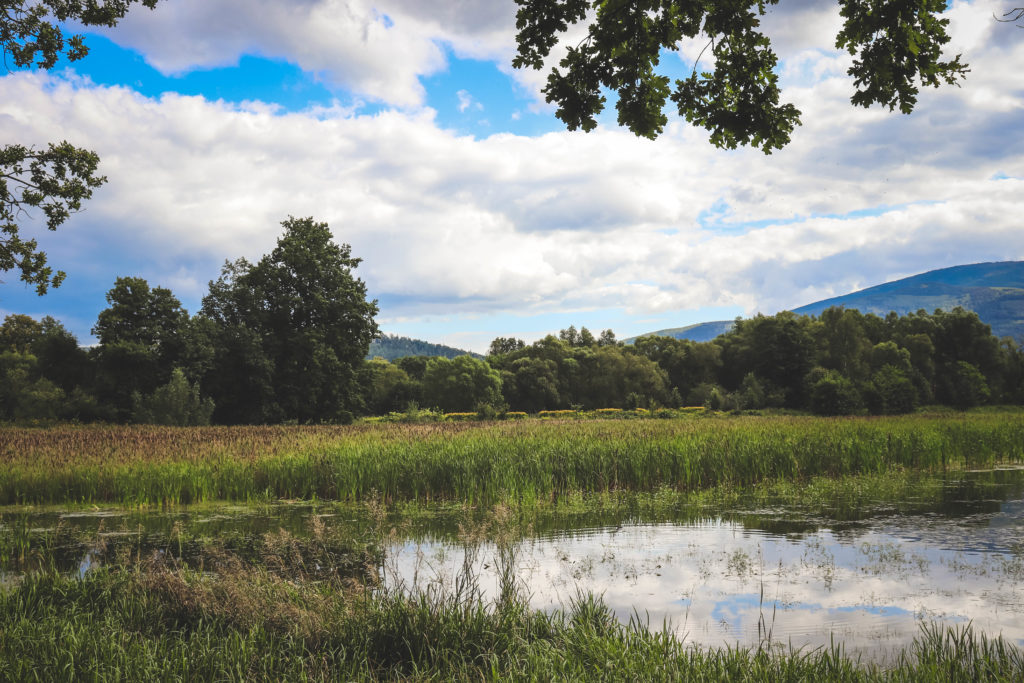 zwiedzanie pałacu w Bukowcu