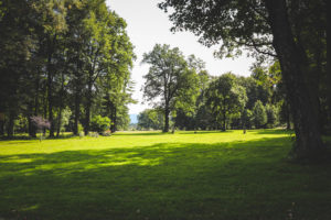 Pałac w Wojanowie - zwiedzanie