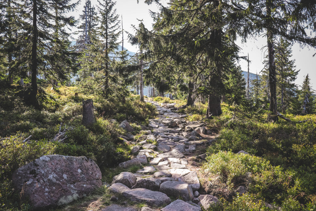 Szlak do Śnieżnych Stawków