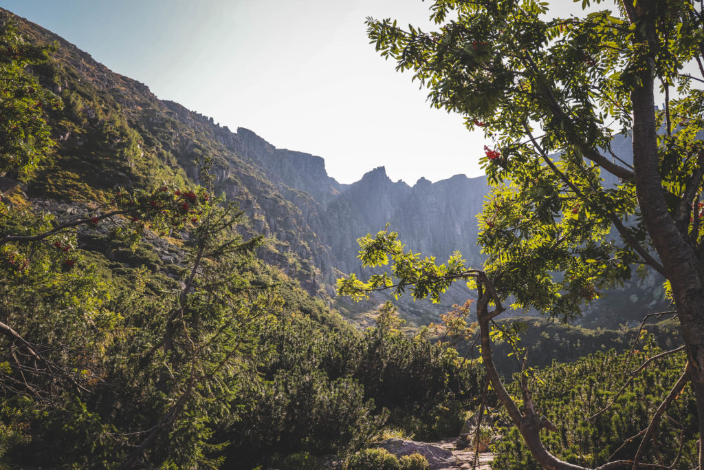 Szlak do Śnieżnych Stawków