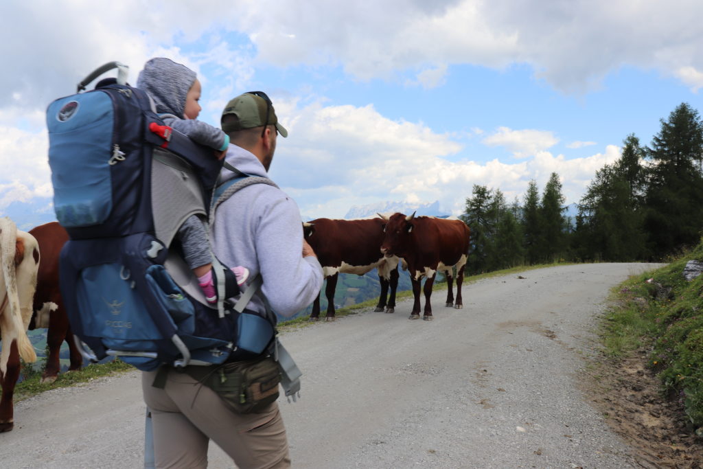 jakie nosidło turystyczne w góry
