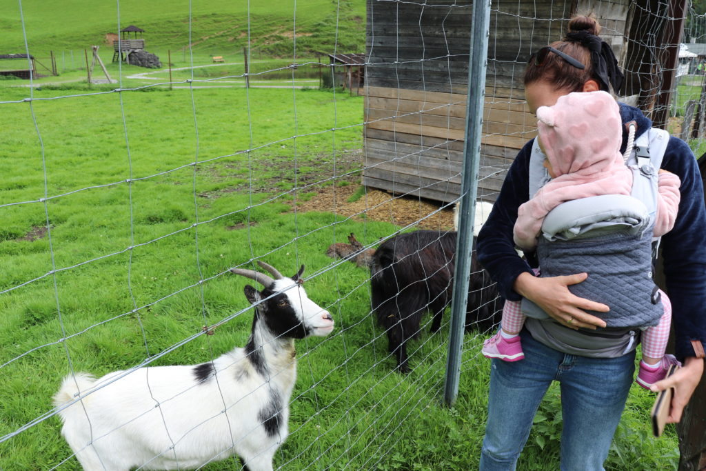 nosidło ergonomiczne w góry