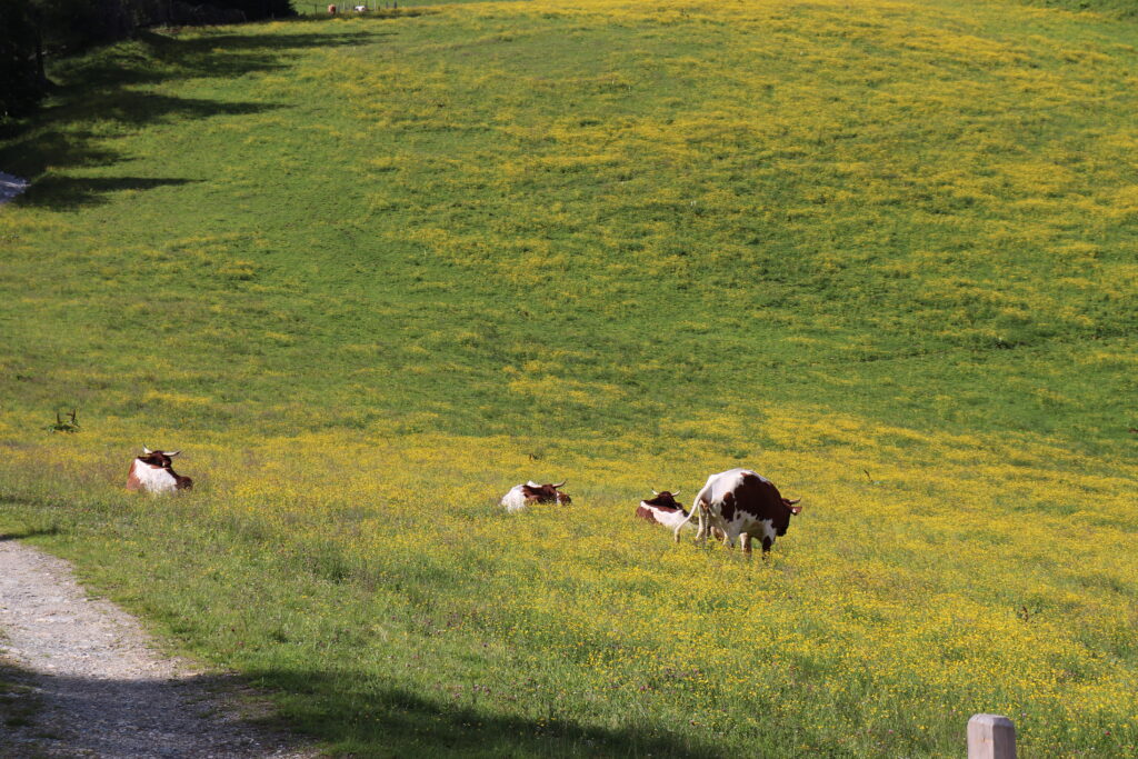 Pomysły na kreatywne zabawy na szlaku