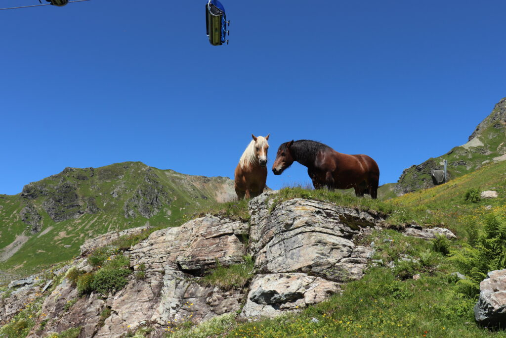 Obertauern - wędrówki rodzinne